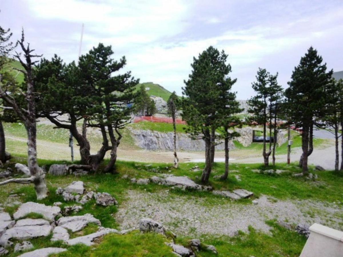 Studio Pour 6 A Arette Avec Acces Pistes, Balcon, Casier A Skis Et Parkings Gratuits - Fr-1-602-20 Dış mekan fotoğraf